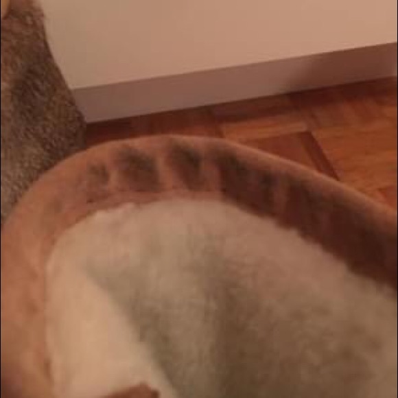 Mukluk- Tall Classic Authentic- size 5 - Picture 4 of 5